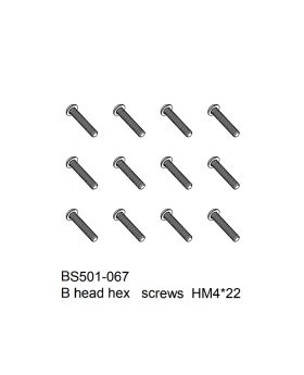 B head hex   screws  HM4x22