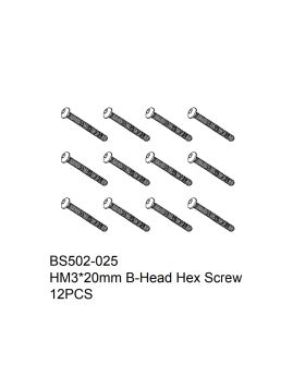HM3x20mm B-Head Hex Screw 12PCS
