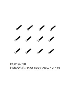 HM4x28 screw 12PCS
